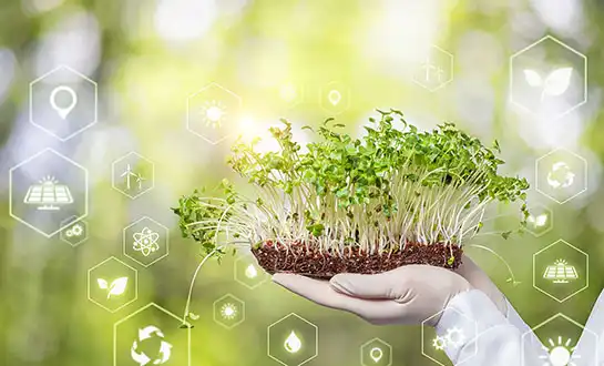 Peptide-Based Fertilizer Raw Material for Agrochemical Formulations